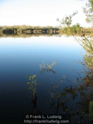 Yeats Country  Coole Park